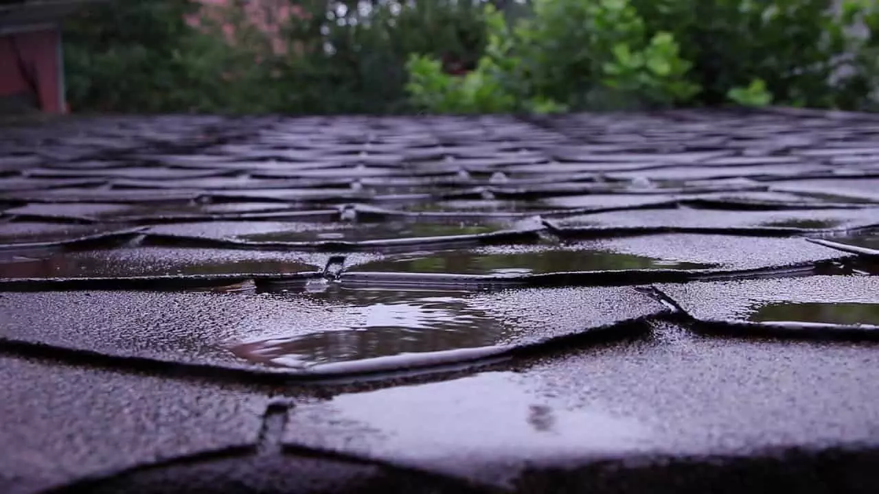 Asphalt Shingles In The Rain 2